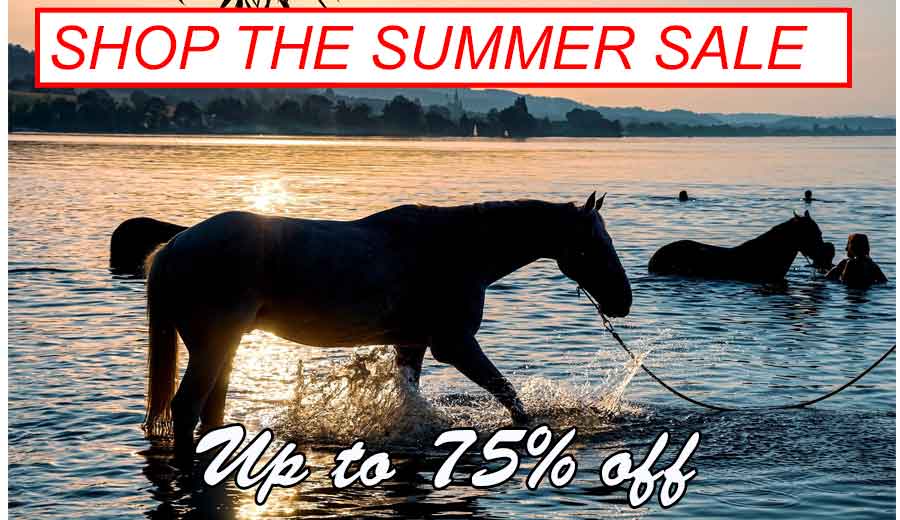 horse sleazys summer sale