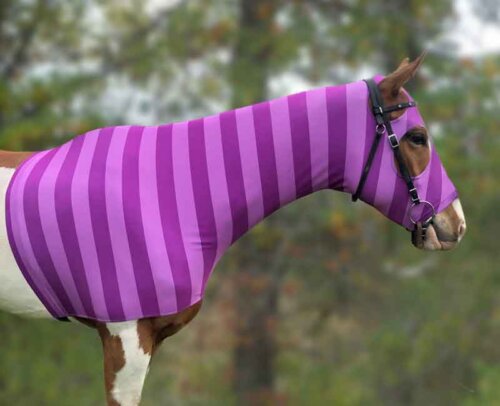 Cheshire Cat horse costume with pink and purple stripes