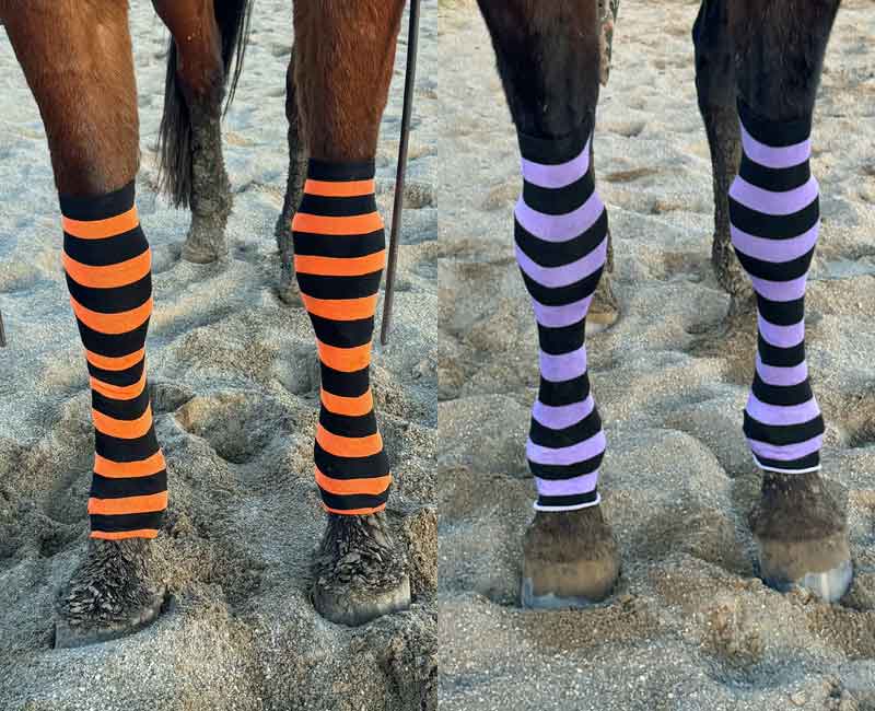horses wearing striped witch socks in orange and purple stripes