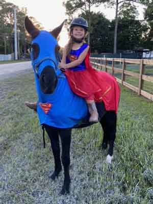 horse wearing superman costume