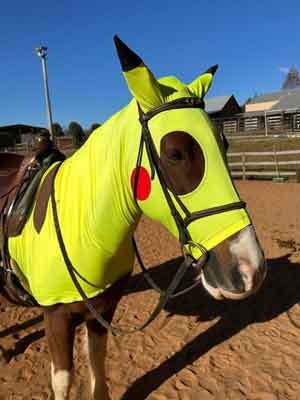 horse wearing Pikachu costume