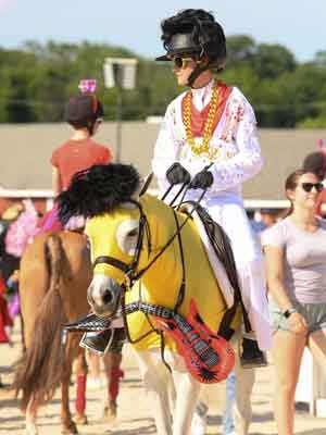 horse wearing Elvis costume