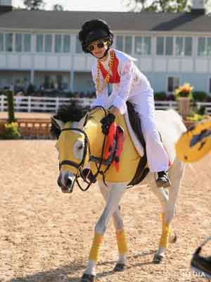 horse wearing Elvis costume