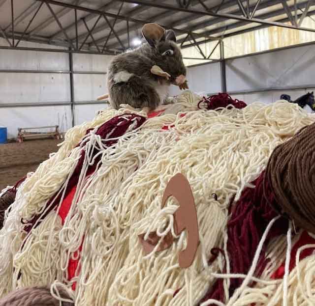horse dressed as a plate of spaghetti