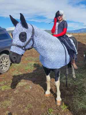 horse wearing dalmatian costume