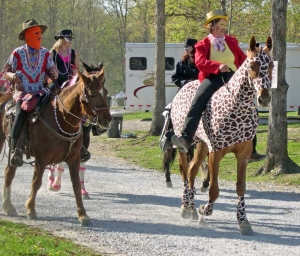 horse in mardi gras costume