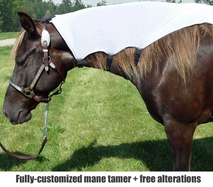 Mane Tamer will train an unruly mane Sleezy Barb Horsewear