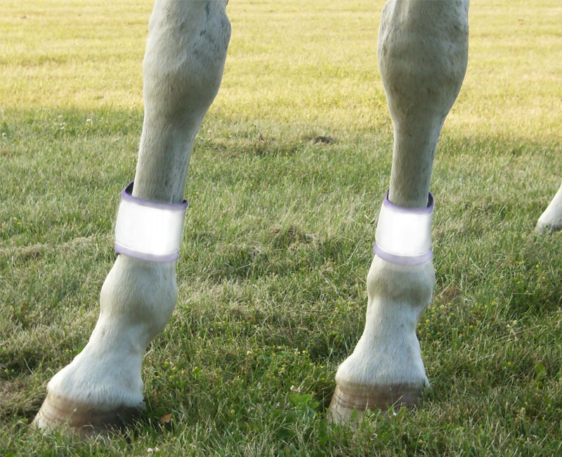 high vis horse reflective leg bands