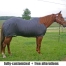 pony bodysuit