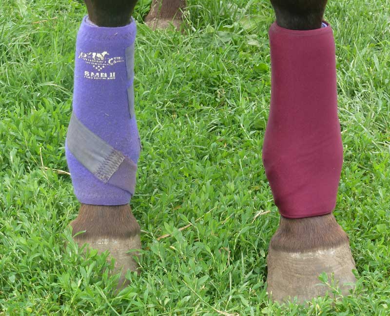 Large Hilason Zigzag Print Horse Front Leg Protection Sports Boots Pair U-IG-L 