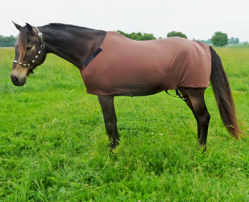 Sleazy Body Sheet to polish your horse's hair coat