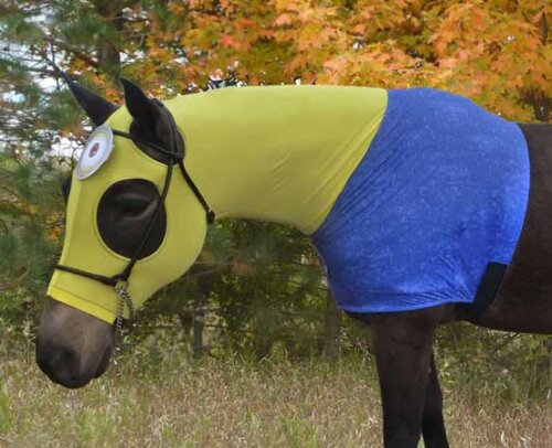 costumes for horses minion