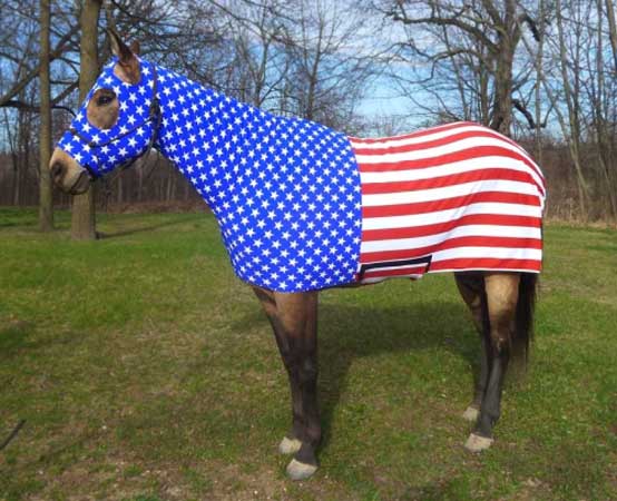 Costumes for Horses American Flag
