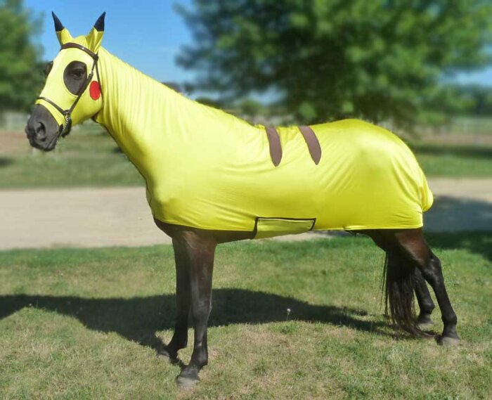 costumes for horses pokemon pikachu
