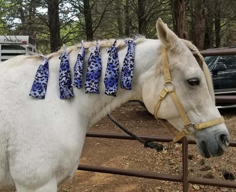 New Handmade Horse Tail Bag Lycra Spandex Zebra Stripe Pink and Black 