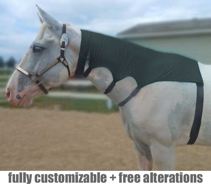 Mesh Mane Tamer to train the horse's mane to lay flat