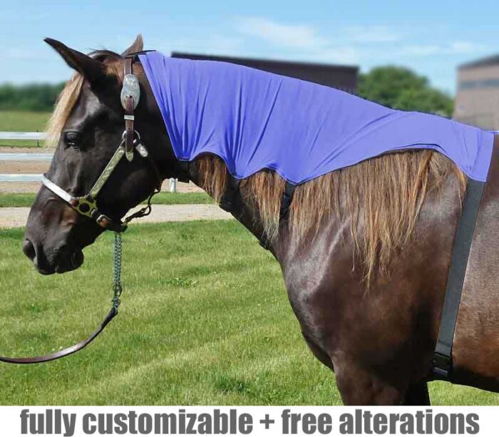 Mane Tamer for horses to train your horse's mane to lay flat.