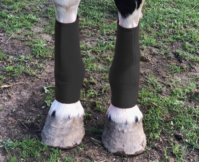 horse leg wraps in black Lycra
