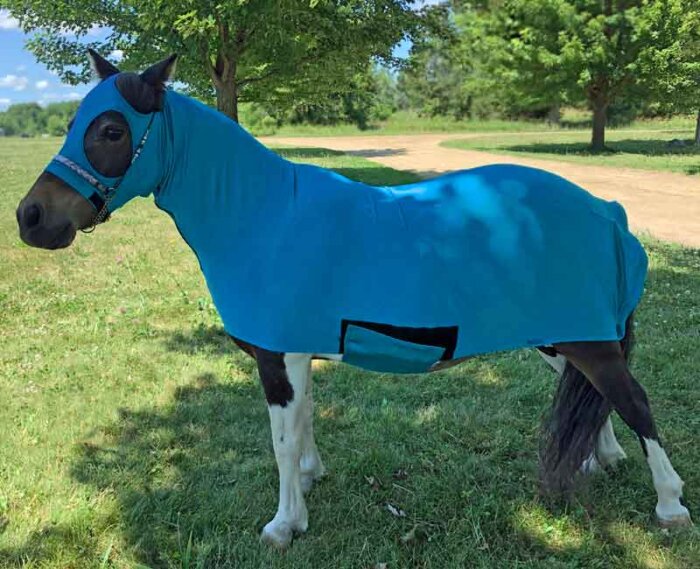 mini horse full body slicker in tropical blue