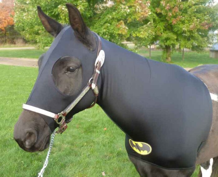 halloween costumes for horses Batman