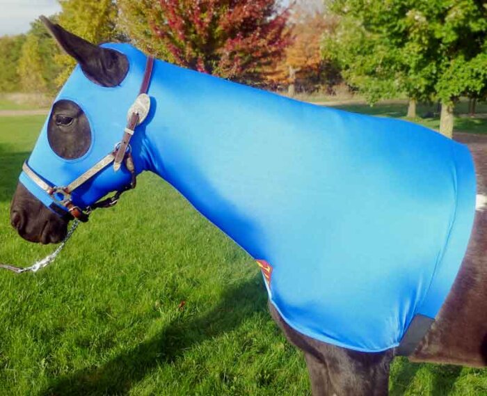 halloween costumes for horses Superman