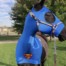 Halloween costumes for horses superman