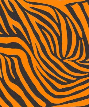 electric tiger orange lycra