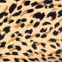 golden leopard print