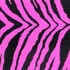 black zebra stripes on hot pink background