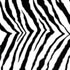 black and white zebra Lycra