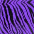 black zebra stripes on purple background
