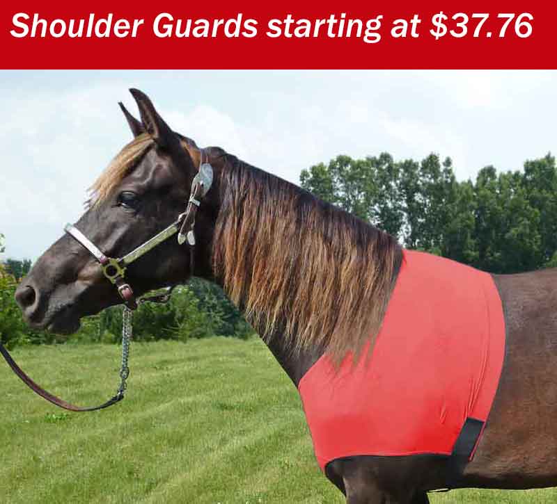 Premium lycra horse wear Custom clothing for your special horse!