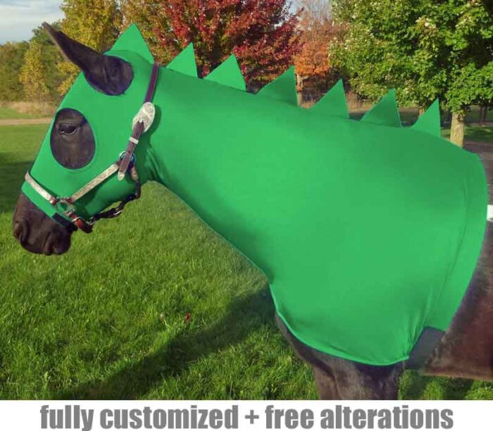 dragon costume for horses