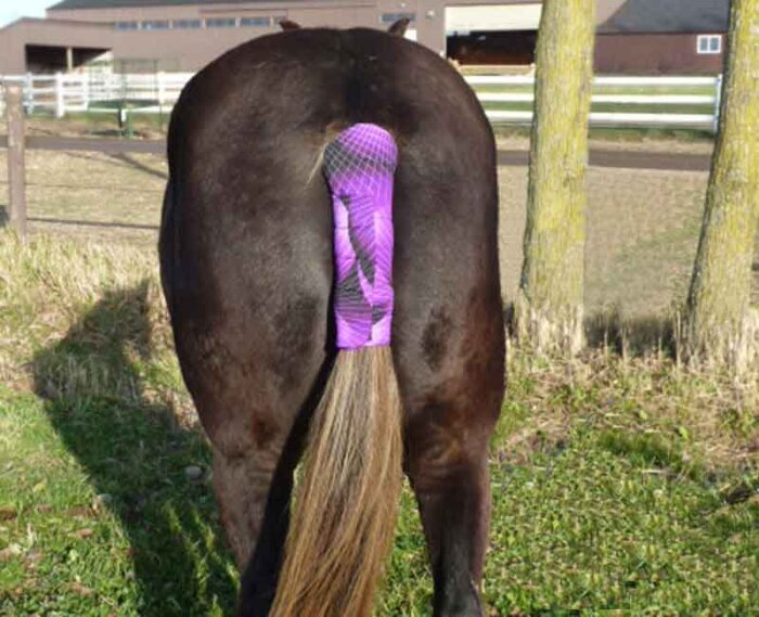 Cameo Neoprene Tail Guard Horse Tail Wrap Bandage Travel Tailguard 