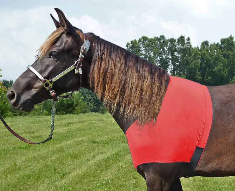 HORSE MANE SAVER SLINKY BLACK LYCRA SHOULDER BLANKET RUB GUARD ALL SIZES 