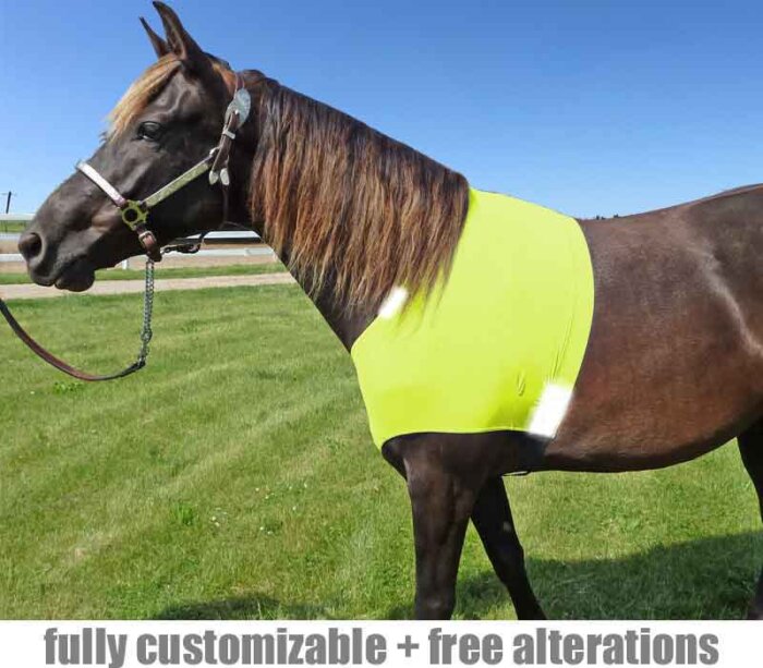 hi Viz horse safety vest
