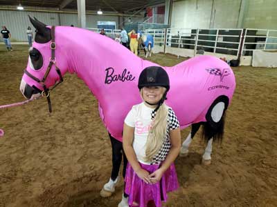 costume for horses pink Barbie corvette