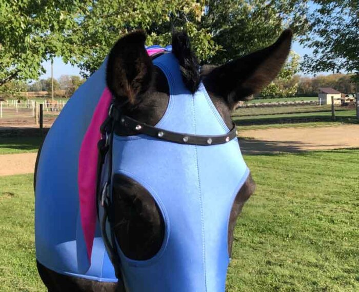 eeyore horse costume showing forelock
