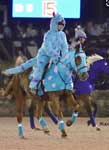 horse dressed as Sulley from Monsters Inc
