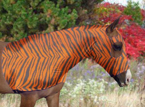 horse costume -tiger