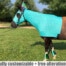 horse costume sea horse with shimmer fins
