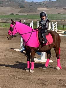 costume for horse pink dragon
