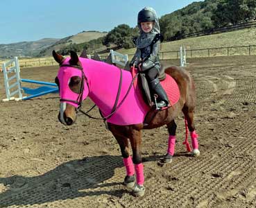 pink dragon costume for horses