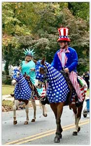 two horses wearing American Flag costumes