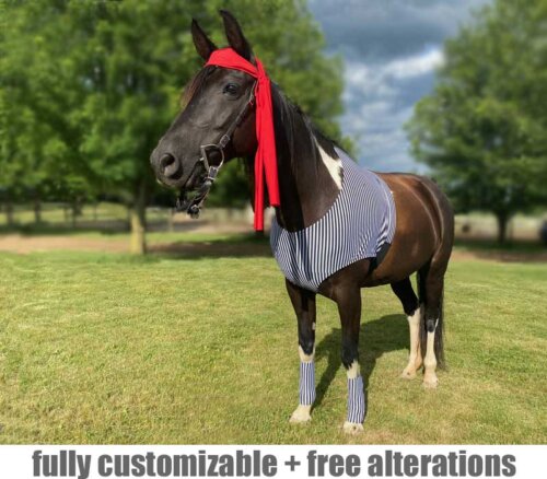 costume for horses pirate with red head scarf