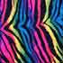 zebra stripes on top of rainbow print