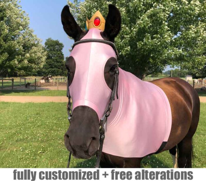 princess peach horse costume