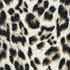 mountain leopard print