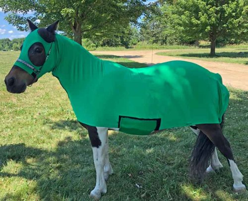 DIY miniature horse full body sleezy shown in kelly green