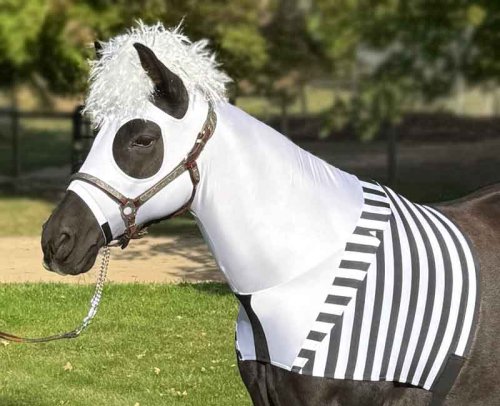 black and white striped jacket. white front shirt with black tie and very wild hair